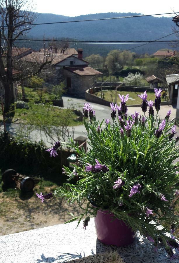 Moonflower Pliskovica Bagian luar foto